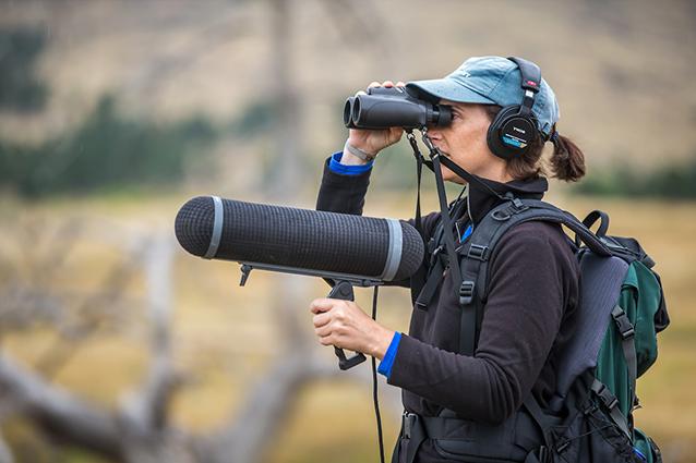 Lauryn Bendict, Ph.D. at Bobcat Ridge